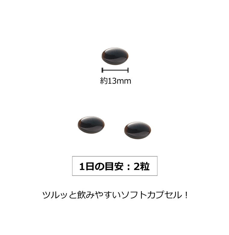 発酵黒高麗人参+発酵黒にんにく – サンセリテ札幌公式オンラインショップ 