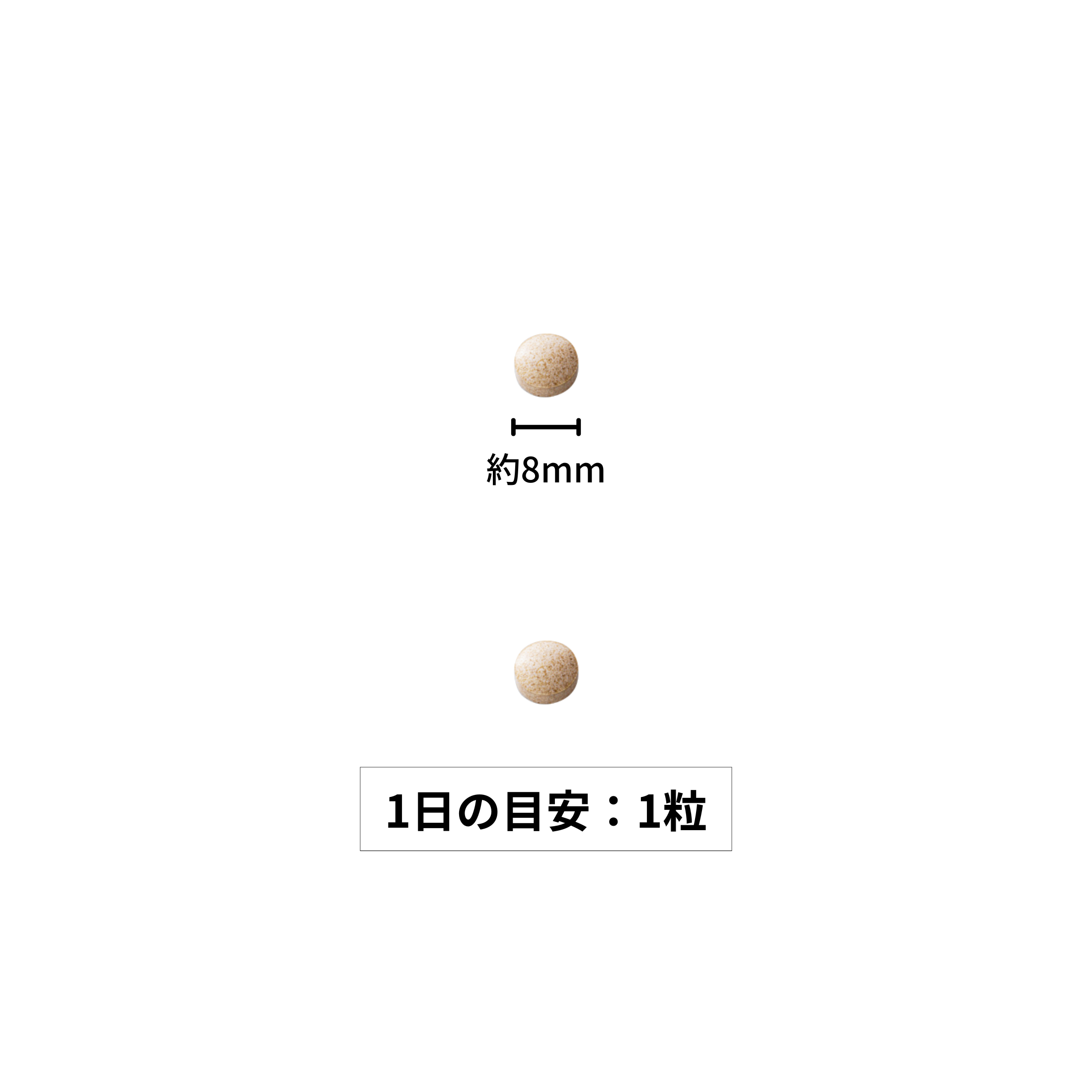 歩ひざ王 – サンセリテ札幌公式オンラインショップ